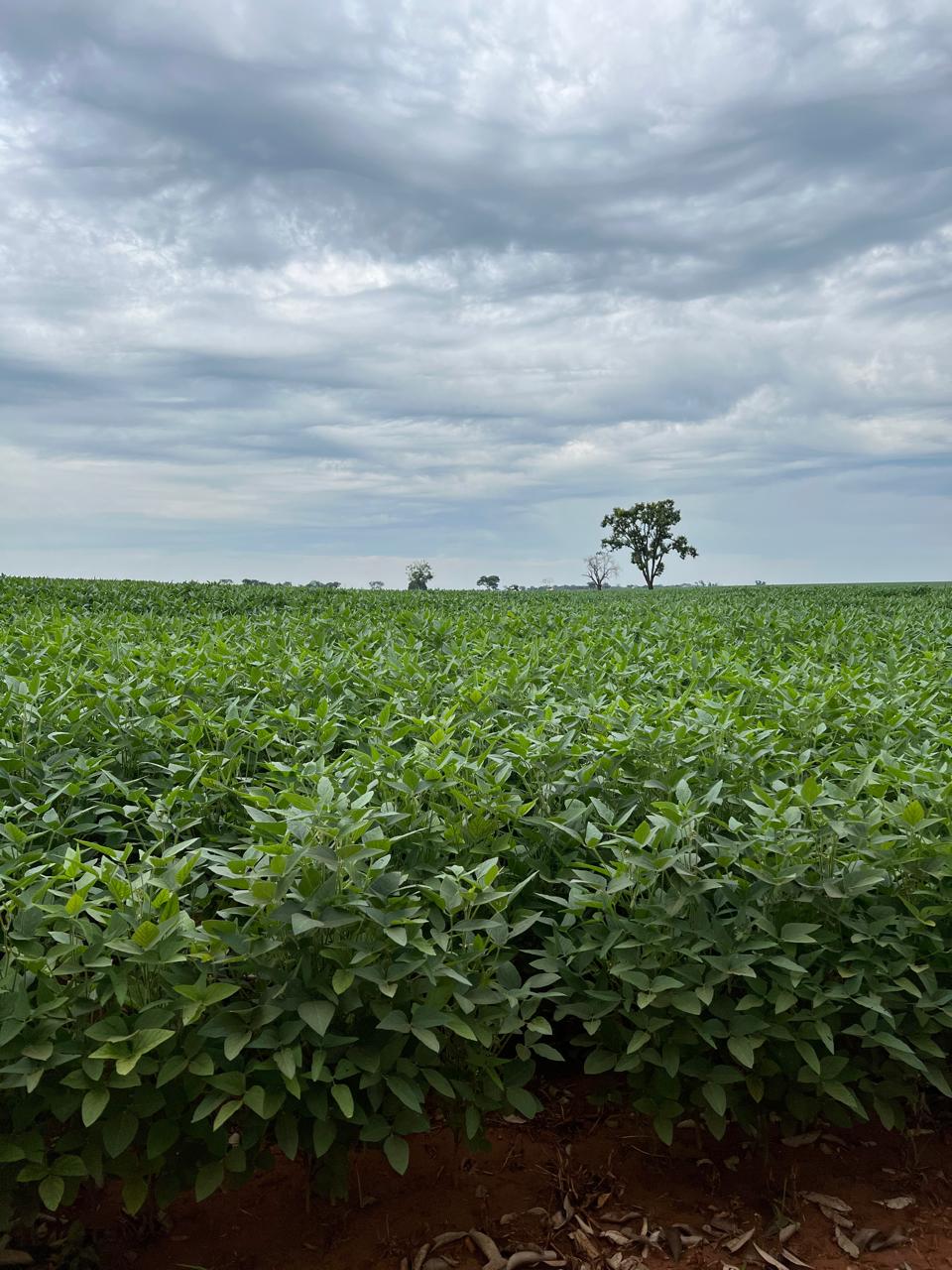 WhatsApp Image 2024-07-23 at 3.05.47 PM (4).jpeg