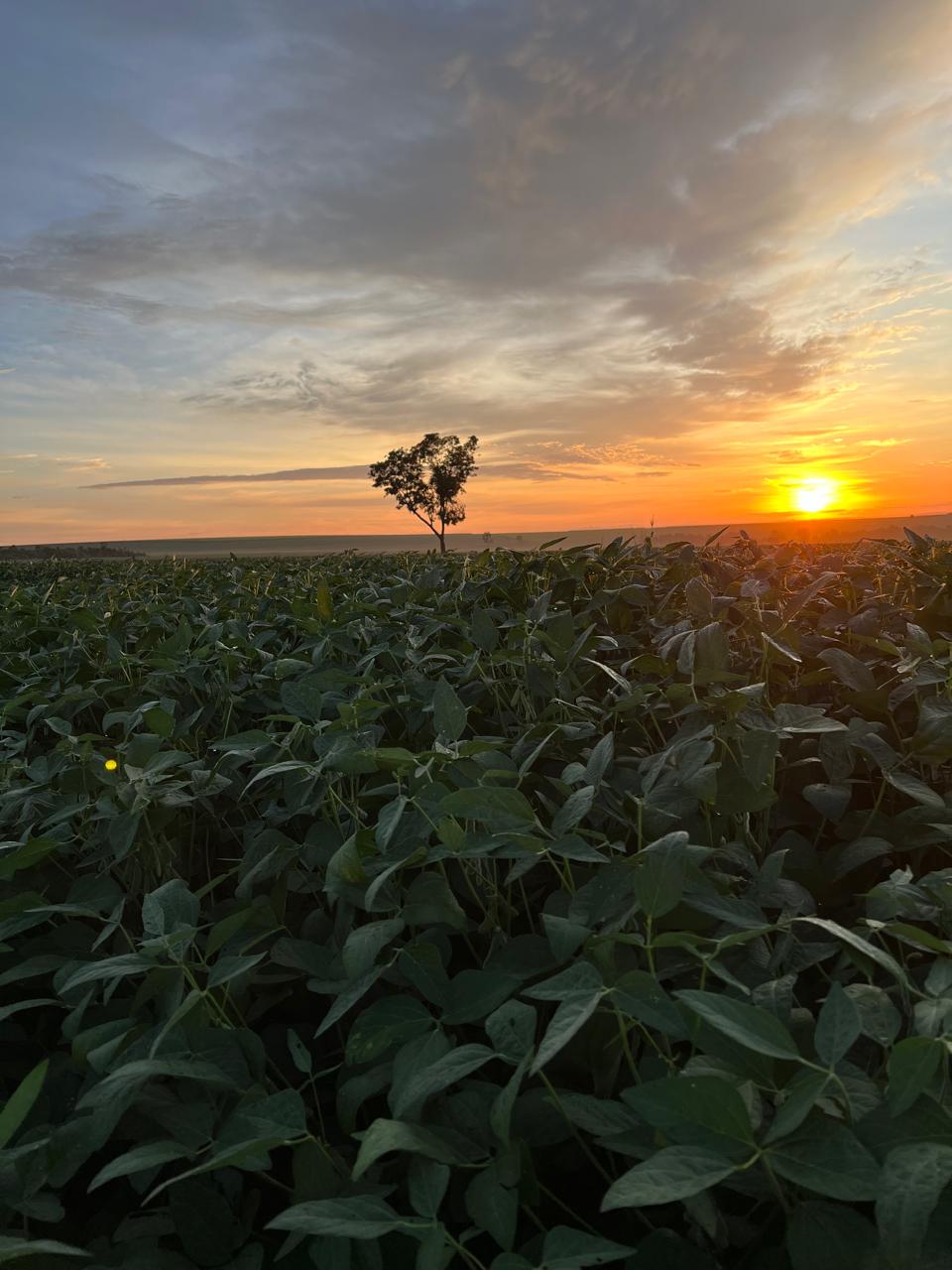 WhatsApp Image 2024-07-23 at 3.05.47 PM (3).jpeg