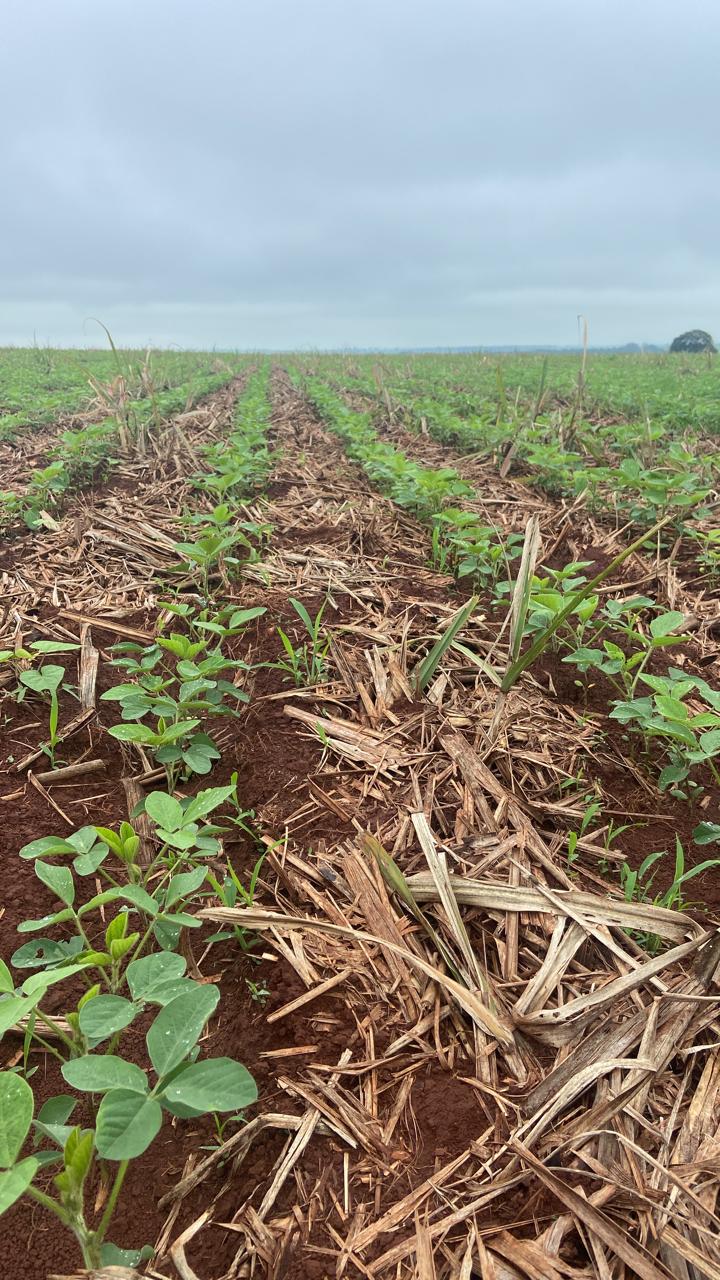 WhatsApp Image 2024-07-23 at 3.05.47 PM.jpeg