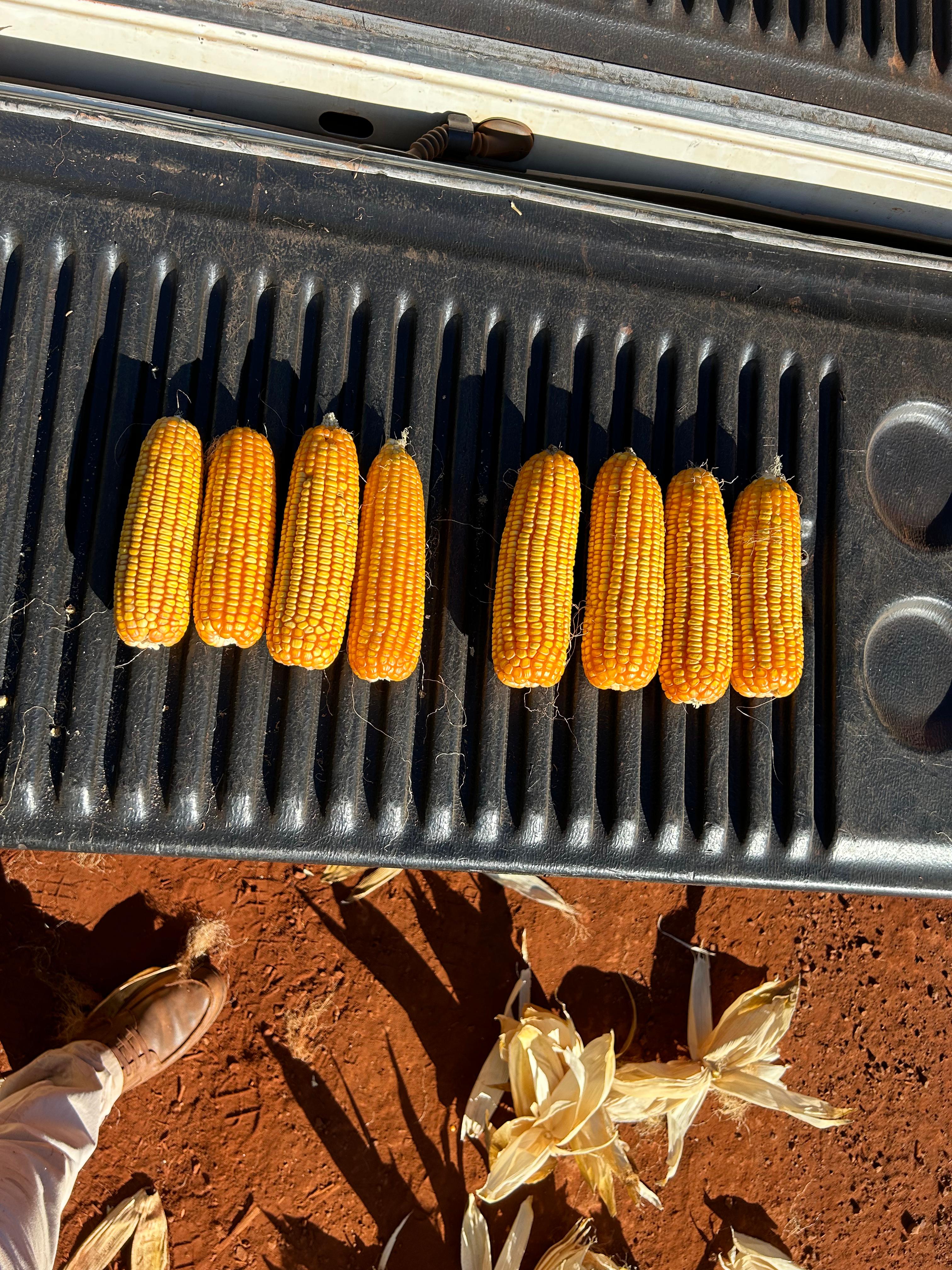 WhatsApp Image 2024-06-11 at 1.19.29 PM (1).jpeg