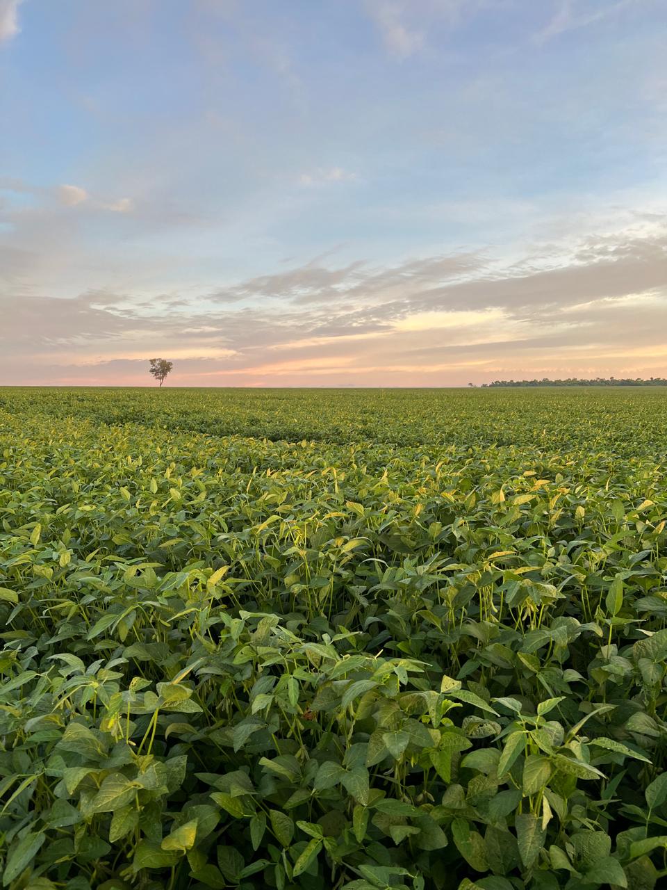 WhatsApp Image 2024-07-23 at 3.05.47 PM (2).jpeg