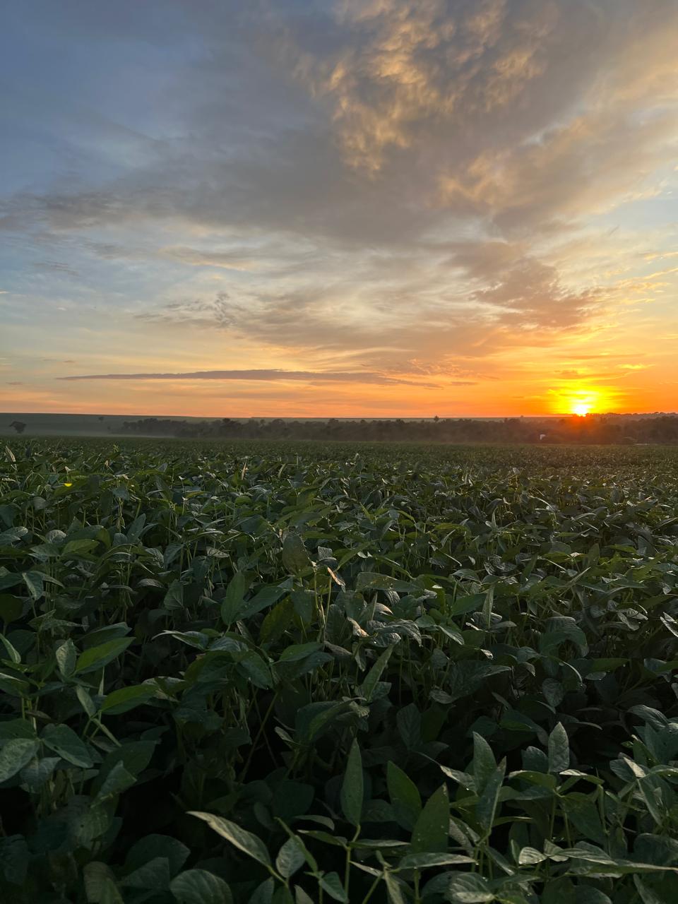 WhatsApp Image 2024-07-23 at 3.05.47 PM (1).jpeg